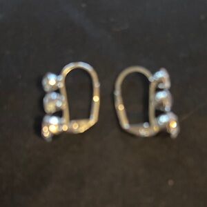 Elegant Silver Earrings